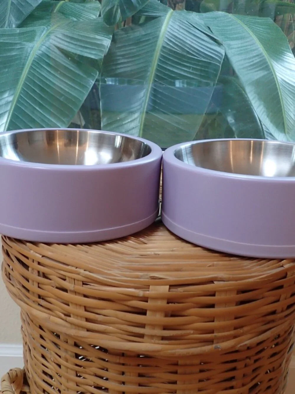 Wild One Stainless Steel Dog Bowl & Mat Lilac/Lavendar